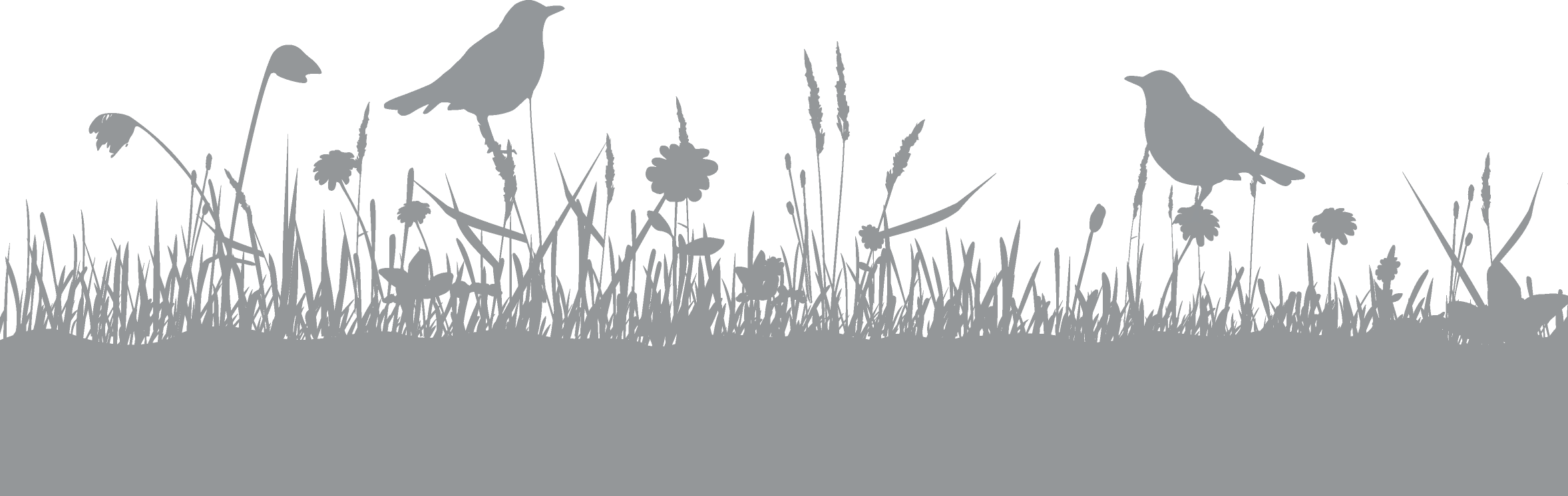 hero-graphic